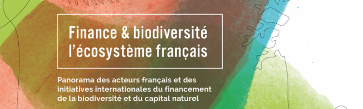 F4T_Publication : Finance & Biodiversité: l'écosystème français