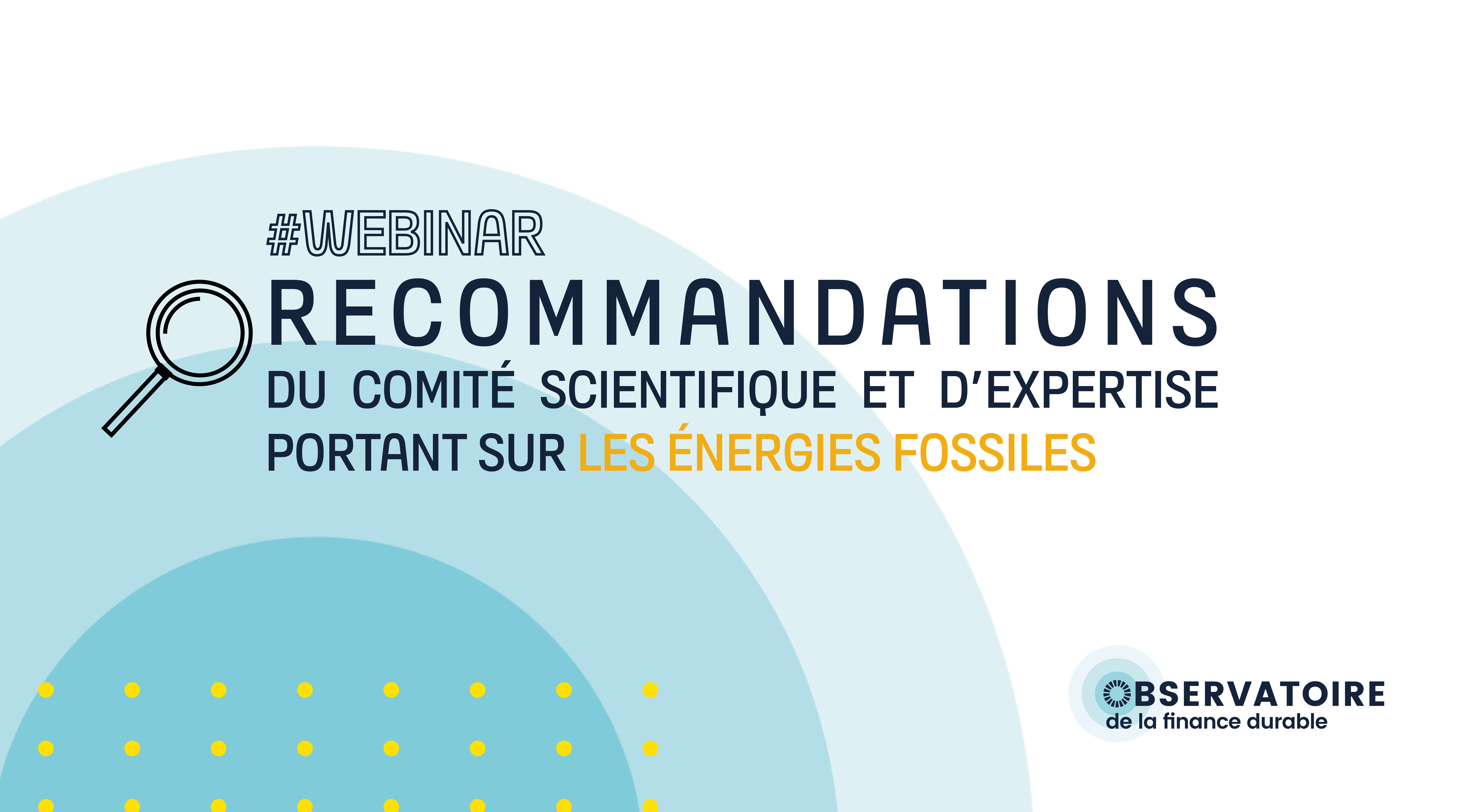 IFD_webinar-OFD-14-mars