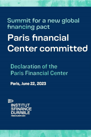 Visual_IFD_Summit-for-a-new-global-financing-pact_declaration-of-the-paris-financial-center
