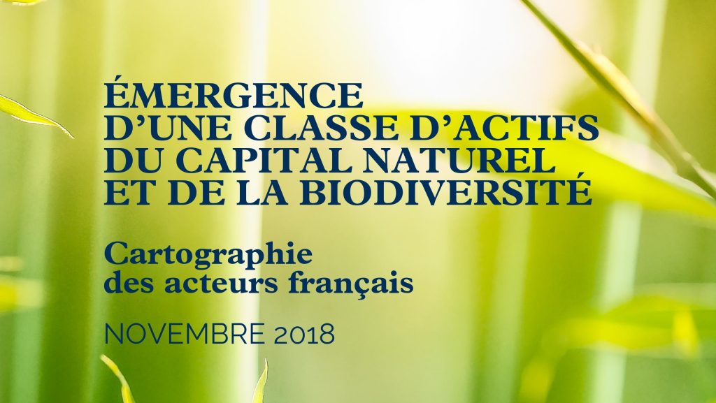 Biodiversity & Natural Capital – Overview of French players
