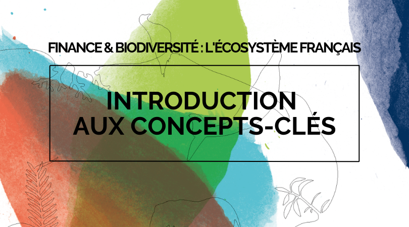 Publication – Introduction aux concepts-clés « Finance & Biodiversité »