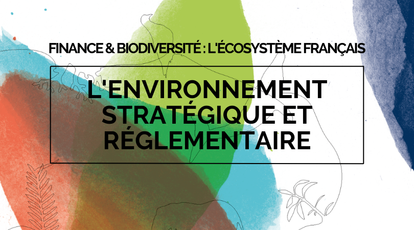 Publication – Environnement stratégique et réglementaire en faveur de la Biodiversité « Finance & Biodiversité »