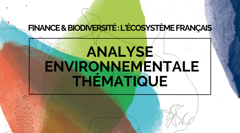Publication – Analyse environnementale thématique