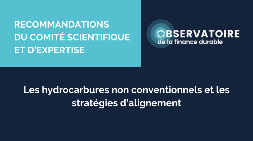 Publication – Recommandations du Comité Scientifique et d’Expertise de l’Observatoire de la finance durable
