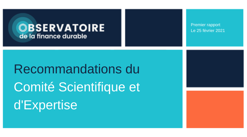 Premier rapport du Comité Scientifique et d’Expertise de l’Observatoire de la finance durable