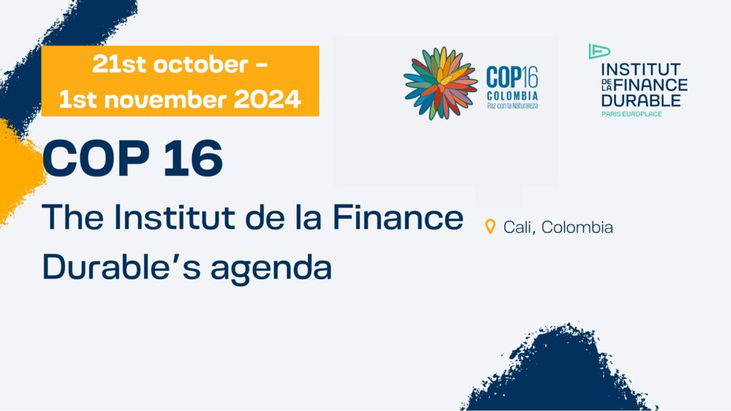 COP16: the Institut de la Finance Durable’s agenda
